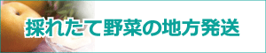 ふるさと便